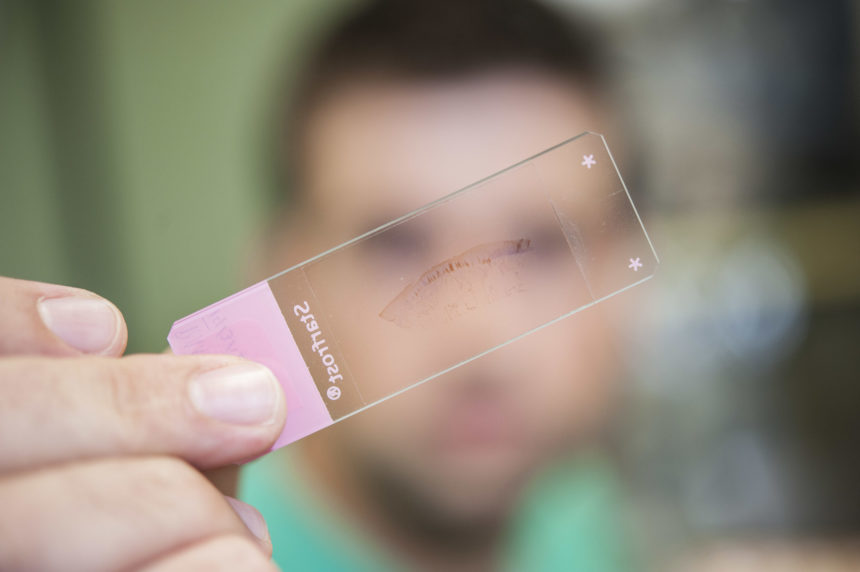 LUMC ouderengeneeskunde WUR GOT studie. Nils bij de lichtmicroscoop met coupes