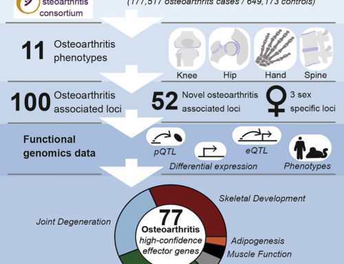 Deciphering osteoarthritis genetics across 826,690 individuals from 9 populations