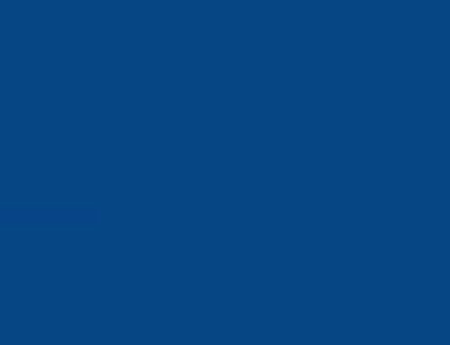 Comparative Assessment of Cartilage Quality in Human Induced Chondrocytes (hiCHOs) and Primary Articular Chondrocytes (hACs) Following Fibronectin-Based Selection